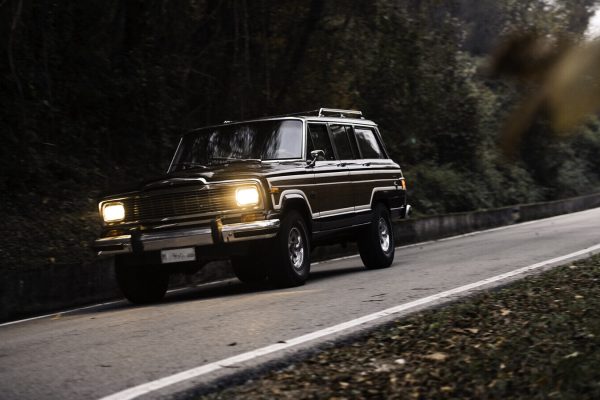 1979 Jeep Wagoneer Limited for sale (1)